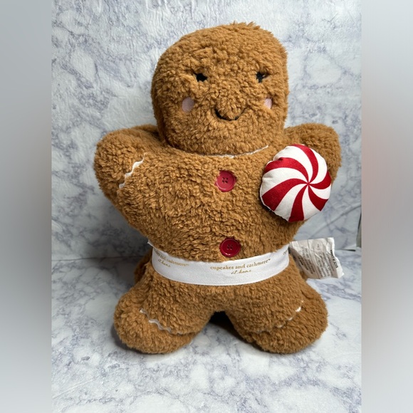 cupcakes & cashmere Other - Cupcakes & Cashmere Gingerbread Set of 2 Pillows
